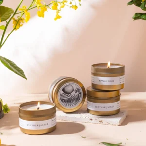 Candles | Brooklyn Candle Studio Hawaii Rain Gold Travel Candle