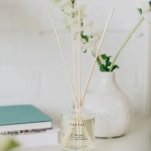 Candles | Home Decor | Brooklyn Candle Studio Santal Reed Diffuser