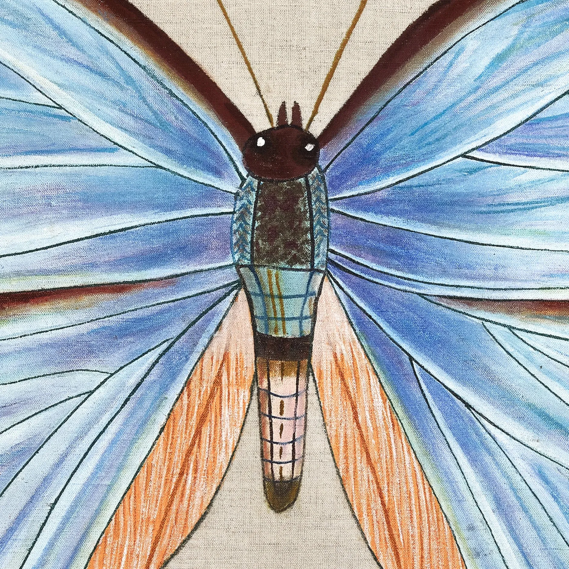john_robshaw_lapis_butter_1.webp Pillows | John Robshaw Lapis Butterfly Pillow
