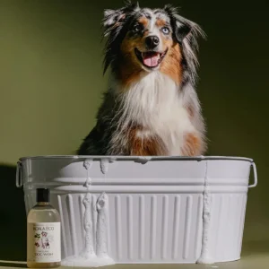 Cleaning Essentials | Koala Eco Natural Dog Wash, 24oz