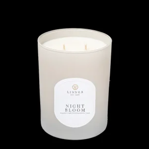 Candles | Linnea's Lights Linnea's Lights Double Wick Candle Night Bloom