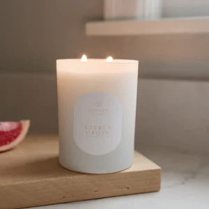 Candles | Linnea's Lights Linnea's Lights Double Wick Candle Citrus Grove