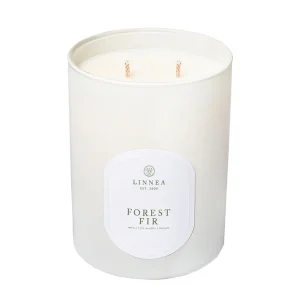 Candles | Linnea's Lights Linnea's Lights Forest Fir Double Wick Candle