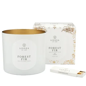 Candles | Linnea's Lights Linnea's Lights Forest Fir Grande 3-Wick Candle