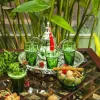 Glassware | Socco Moroccan Beldi Glasses Green